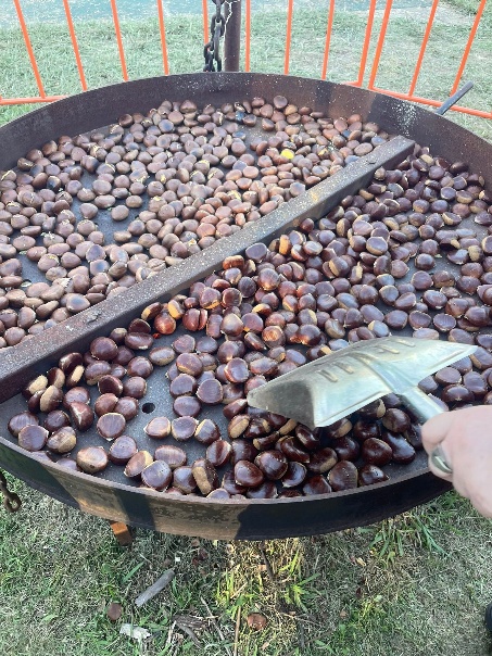 Chestnuts roasting at the Wandi Nut Festival