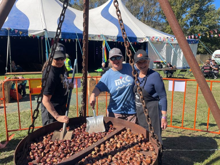 Nut festival